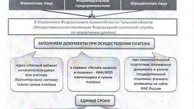 Что такое налоги, сборы и взносы в Ойшо