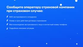 Что входит в страховую сумму? в Ойшо