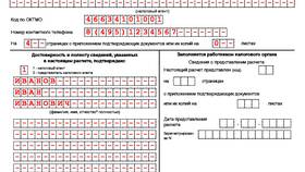 Форма 6-НДФЛ: что включает в себя отчет в Ойшо