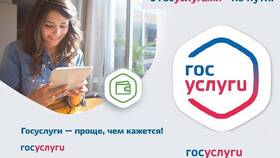 Как оформить родовые выплаты через Госуслуги в Ойшо