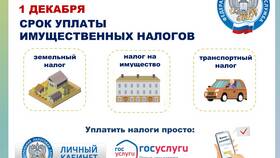 Как оплатить налоги: способы и инструкции в Ойшо