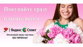 Как оплатить платеж с помощью Сплит Яндекса в Ойшо