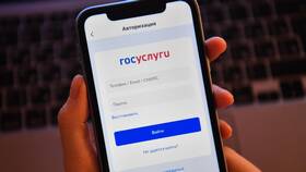 Как оплатить страховку через портал Госуслуги в Ойшо