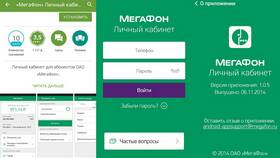 Как получить пароль для входа в личный кабинет Мегафон в Ойшо