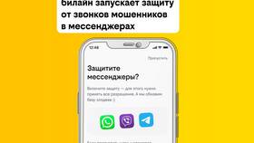 Как получить распечатку звонков и SMS в Билайн в Ойшо