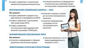Как получить выписку из СФР через Госуслуги в Ойшо