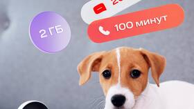 Как поменять владельца SIM-карты МТС в Ойшо