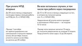 Как правильно работать с самозанятыми в Ойшо
