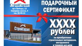 Как проверить срок действия подарочной карты DNS в Ойшо