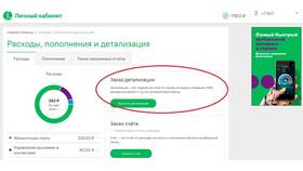 Как сделать детализацию звонков на МегаФоне в Ойшо