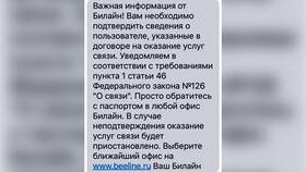 Как узнать информацию о Билайн в Ойшо