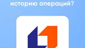 Как выглядит карточка ПСБ в Ойшо