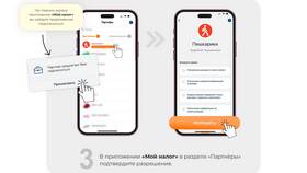 Как выявить самозанятость: методы и подходы в Ойшо