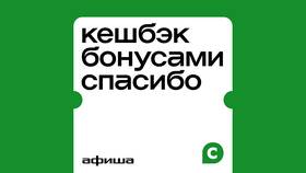 Как заработать на бонусах в СберМаркете в Ойшо