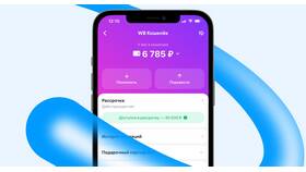 Почему не получается улучшить кошелек Wildberries в Ойшо