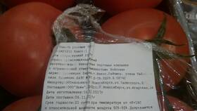 Сколько стоит килограмм помидоров в «Пятерочке» в Ойшо