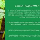 Как правильно погасить золу для подкормки огурцов